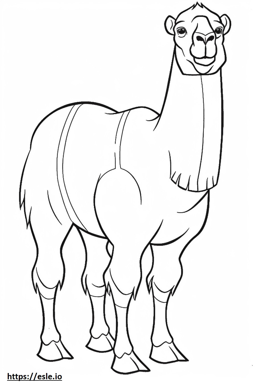 Camelo Bactriano brincando para colorir