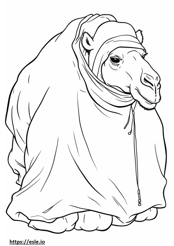 Baktrian kameli nukkuu värityskuva