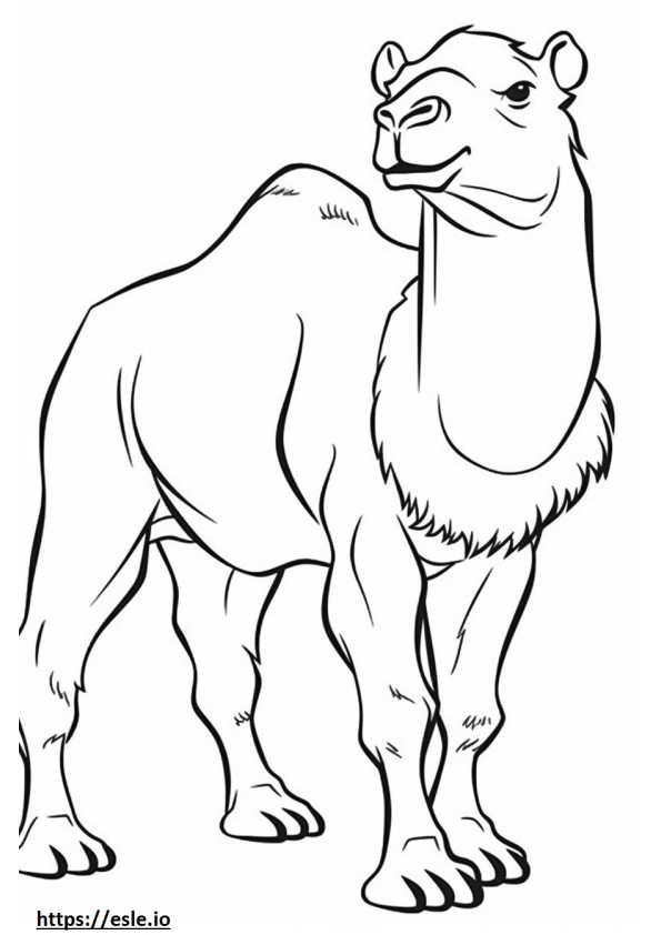 Camelo Bactriano Amigável para colorir