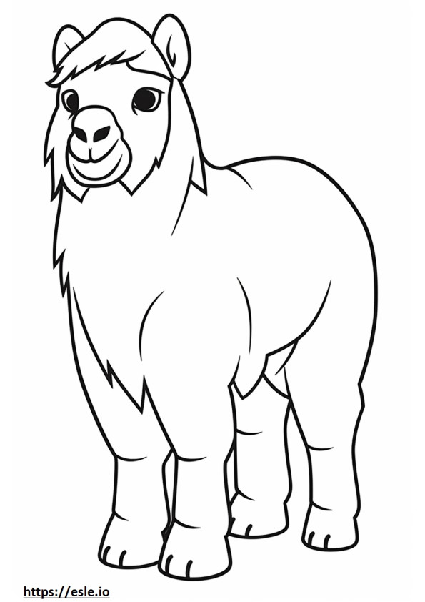 Camelo Bactriano Kawaii para colorir