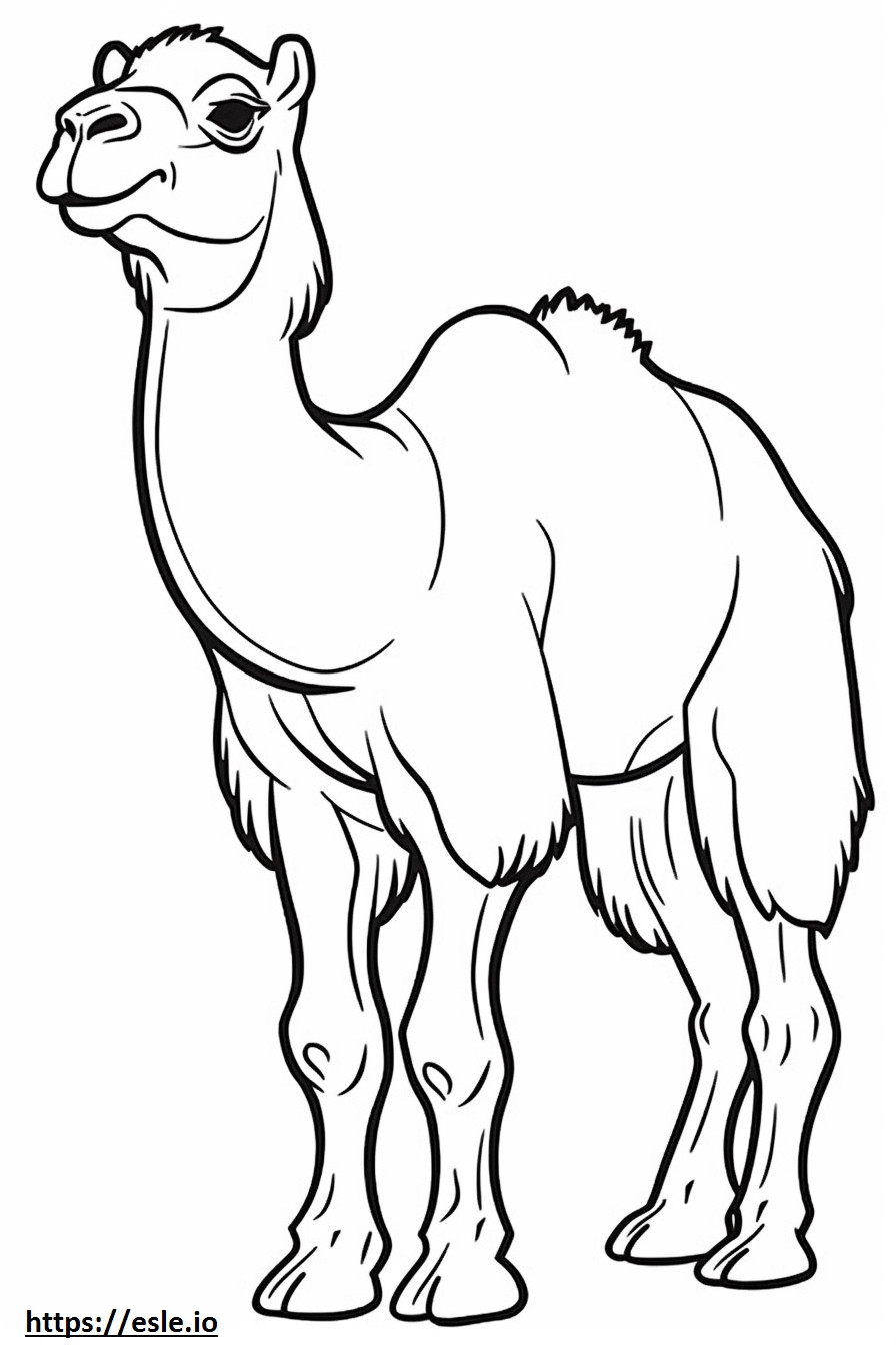 Amichevole con i cammelli della Battriana da colorare