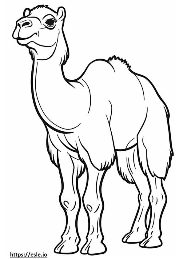 Bactrian Camel Friendly coloring page
