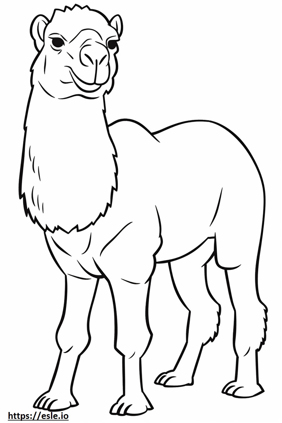 Bactrian Camel Friendly värityskuva