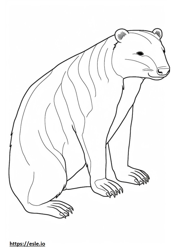 Badger full body coloring page