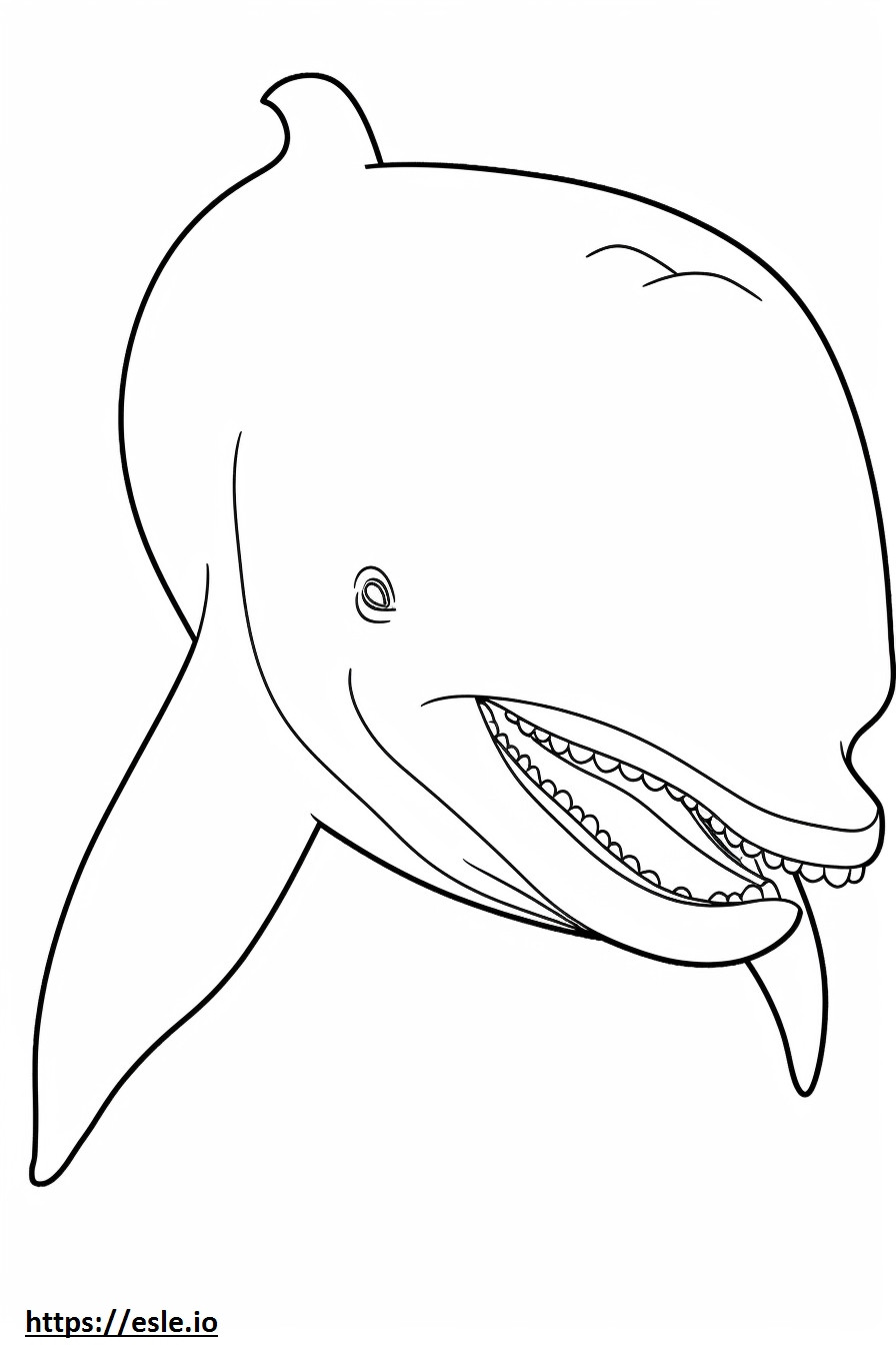 Twarz wieloryba fiszbinowego kolorowanka