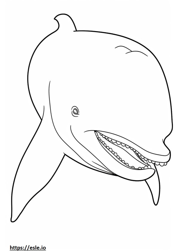 Cara de baleia de barbatana para colorir