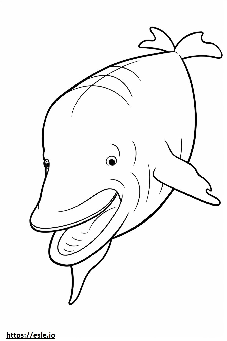 ヒゲクジラの顔 ぬりえ - 塗り絵