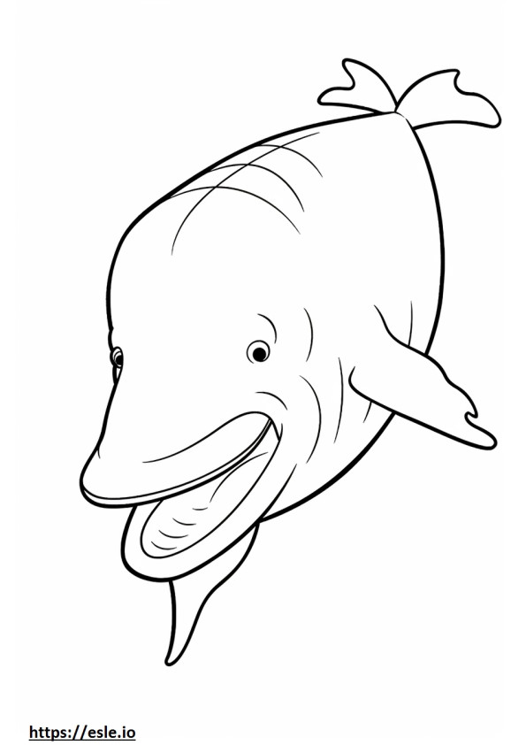 Bartenwal-Gesicht ausmalbild