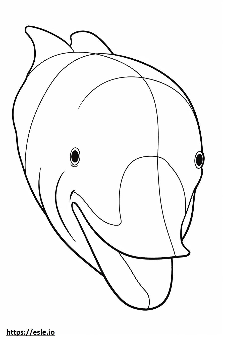 Het gezicht van de baleinwalvis kleurplaat kleurplaat