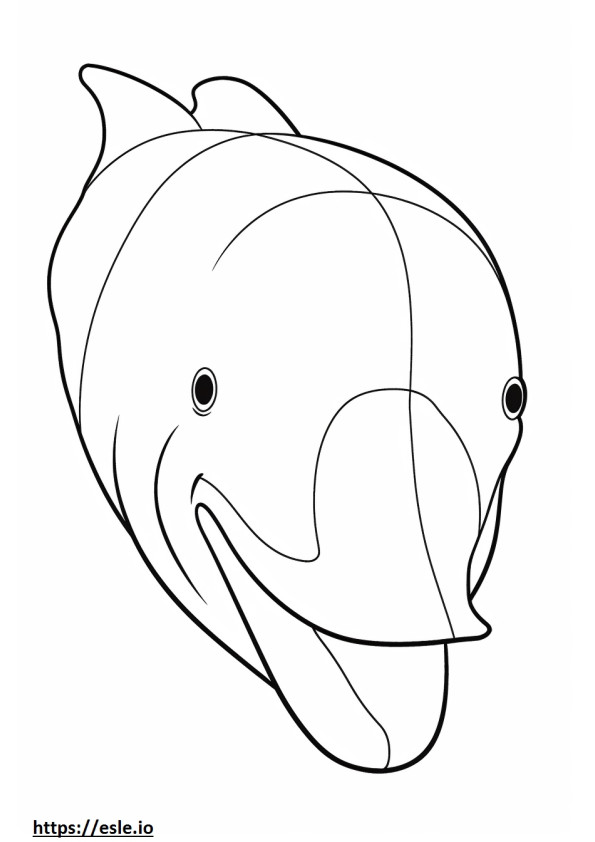 ヒゲクジラの顔 ぬりえ - 塗り絵