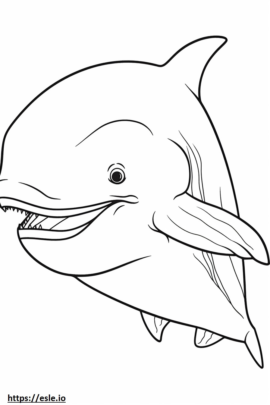 Cara de baleia de barbatana para colorir