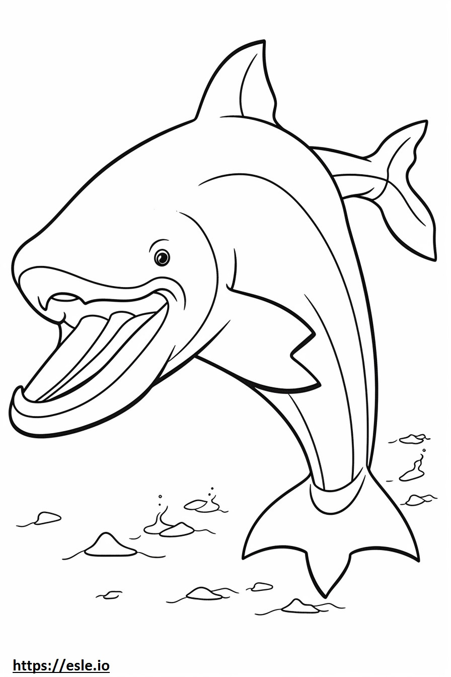 ヒゲクジラの全身 ぬりえ - 塗り絵