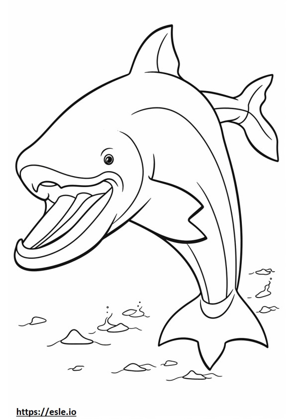 Baleen Whale full body coloring page
