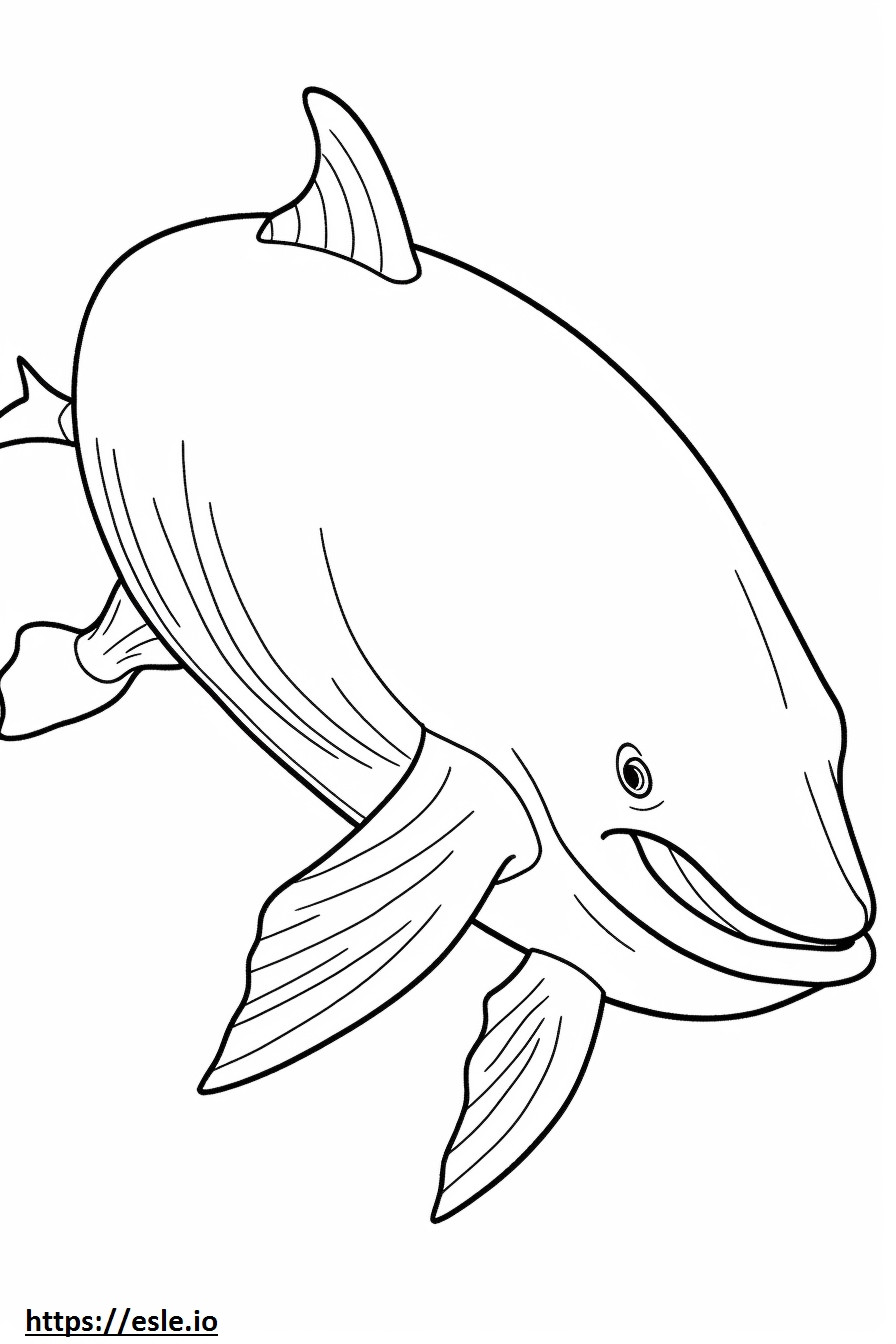 Dziecko wieloryba fiszbinowego kolorowanka