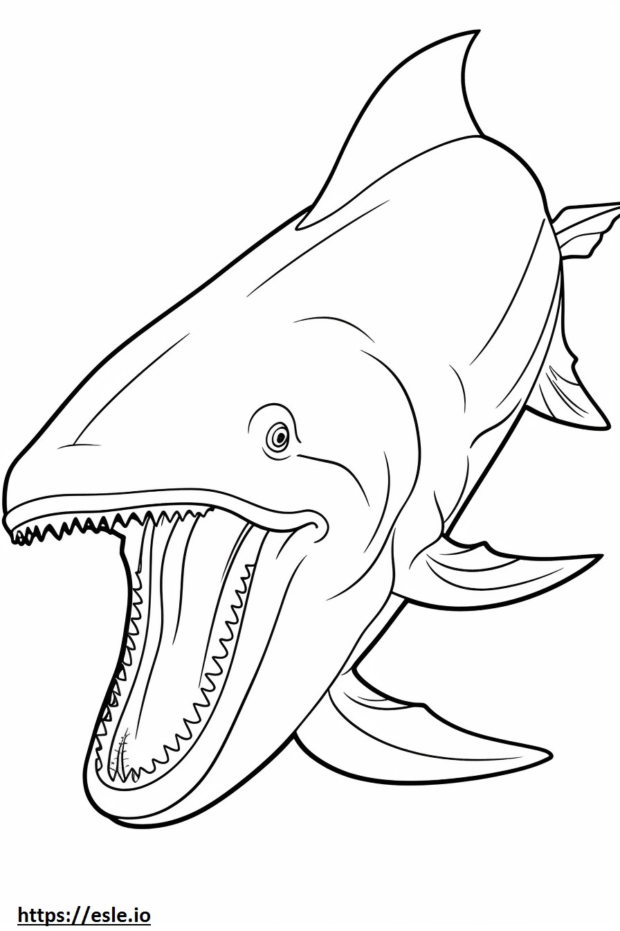 Baleia de barbatana de corpo inteiro para colorir