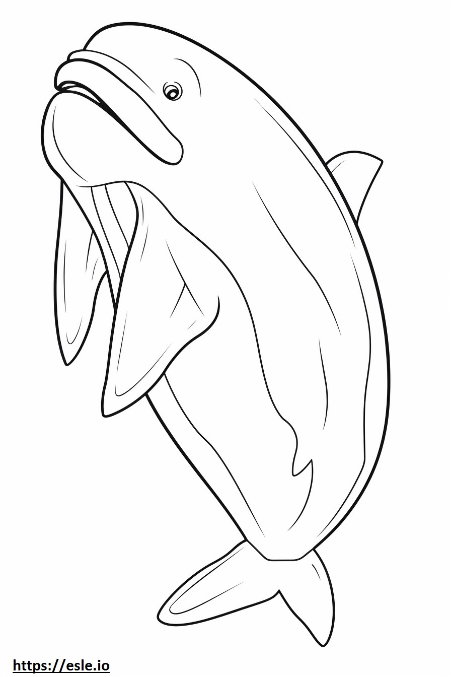 Baleen Whale vauva värityskuva