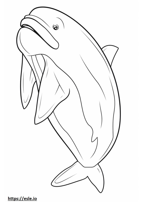 ヒゲクジラの赤ちゃん ぬりえ - 塗り絵