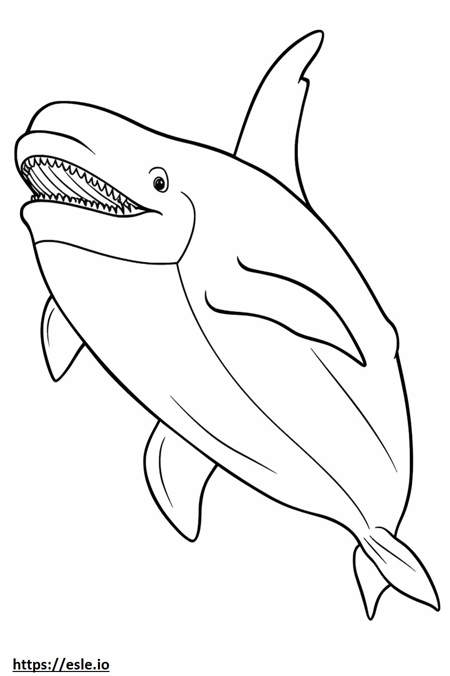 Baleia de barbatana de corpo inteiro para colorir