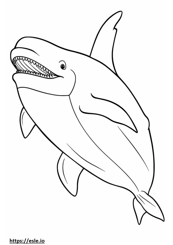 Baleinwalvis volledig lichaam kleurplaat