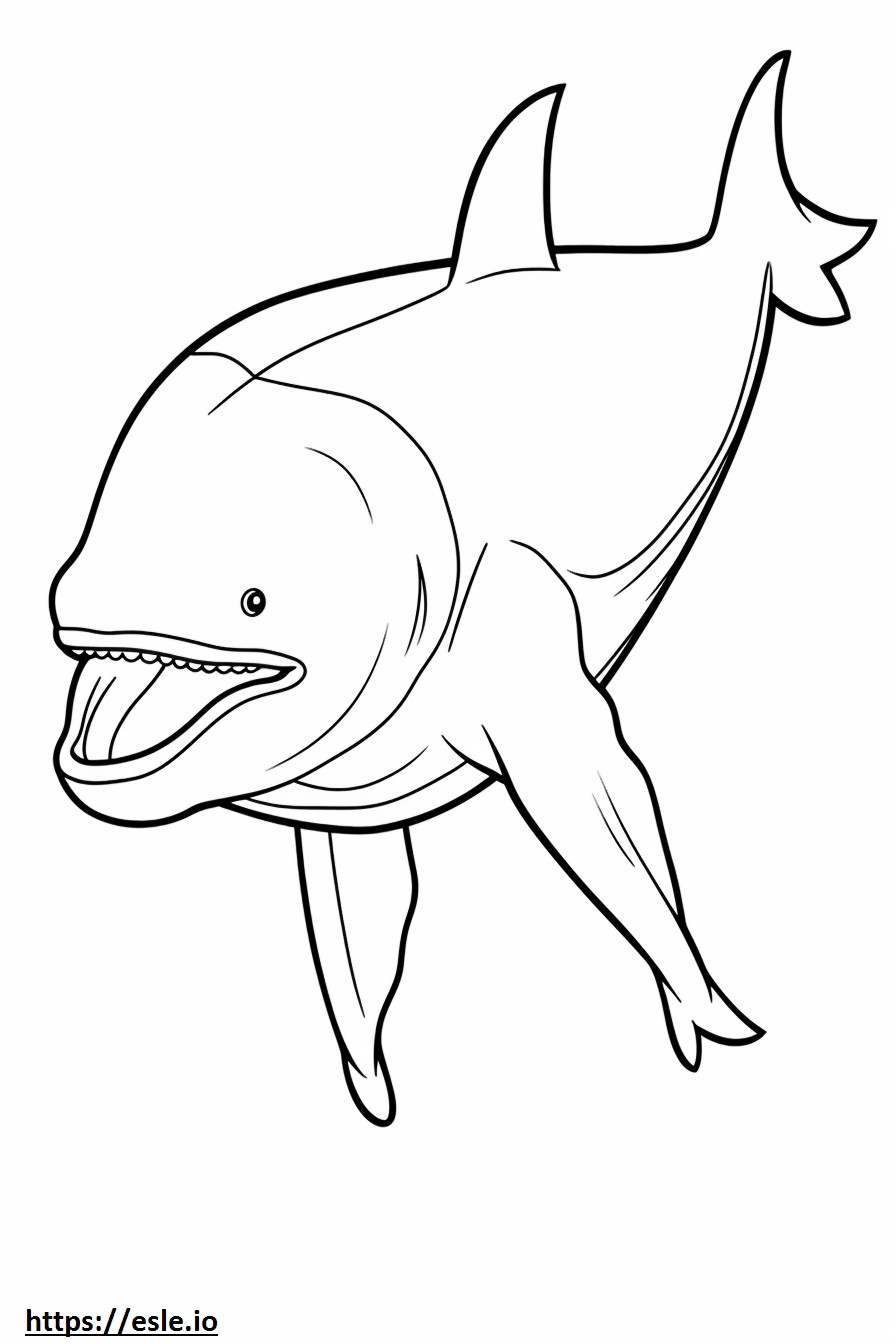 Baleen Whale baby coloring page