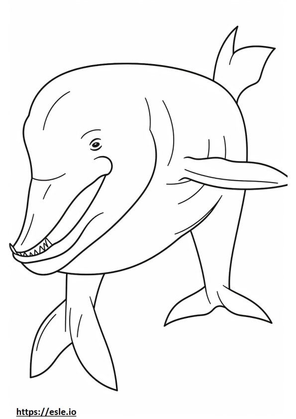Desenho de baleia de barbatana para colorir