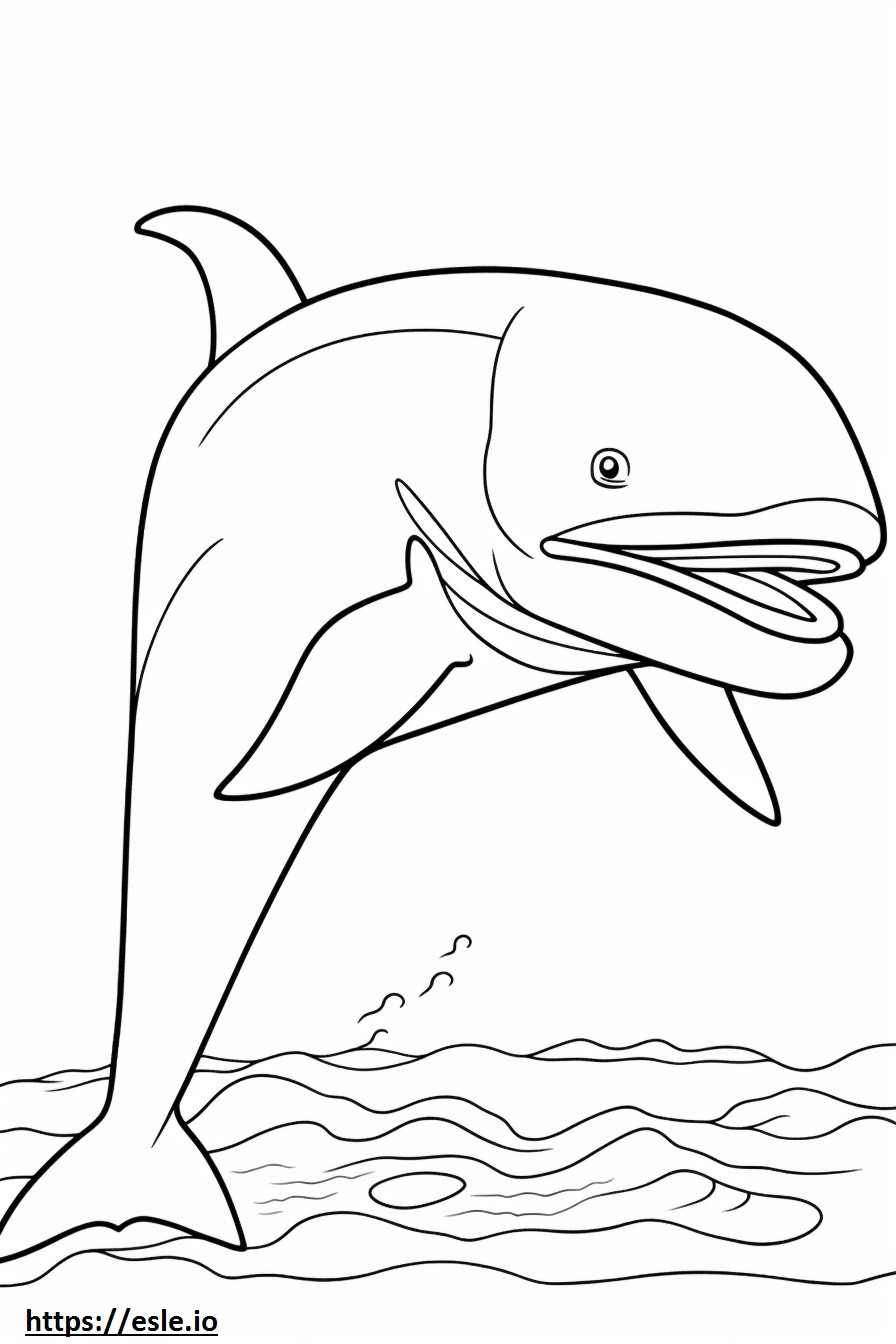 Baleen Whale sarjakuva värityskuva