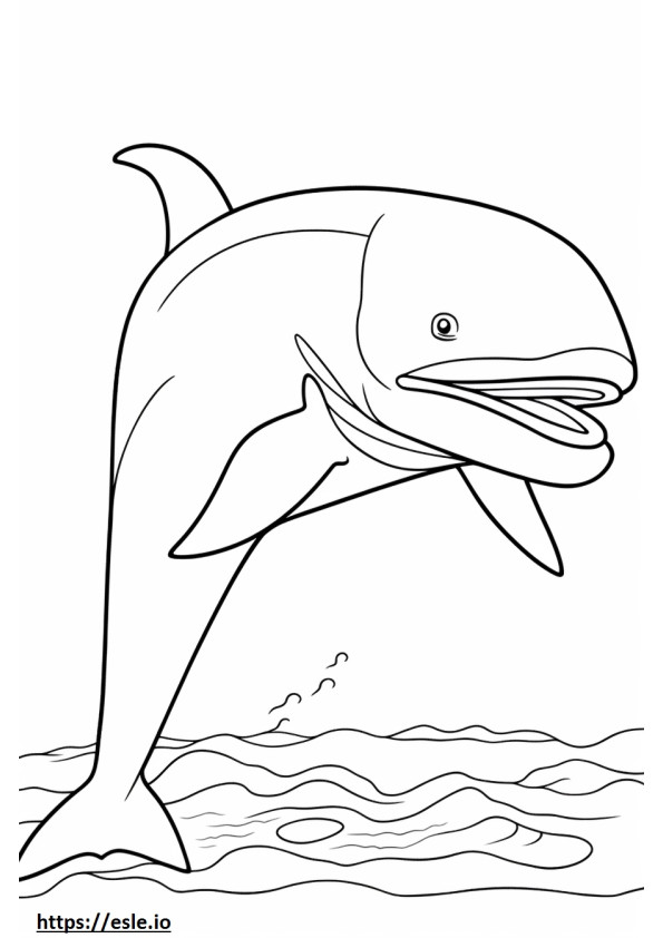 Baleen Whale cartoon coloring page