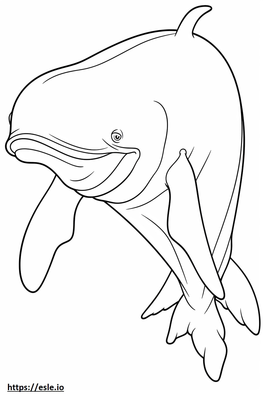 Desene animat cu balene de colorat