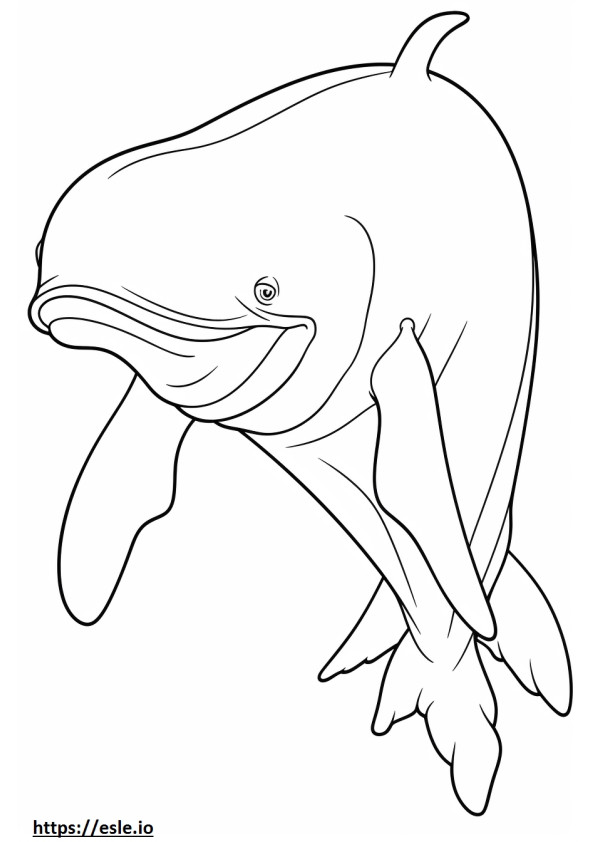 Kreskówka wieloryba fiszbinowego kolorowanka
