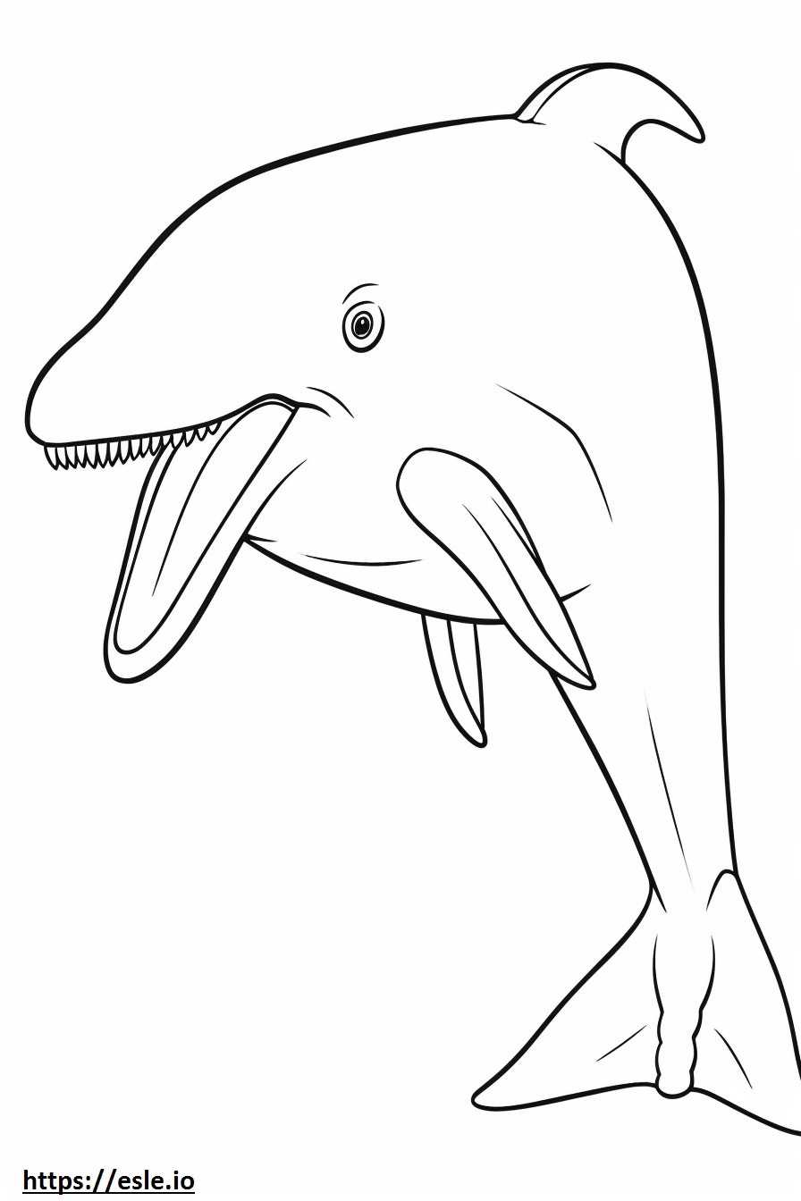 Coloriage Baleine à fanons mignonne à imprimer