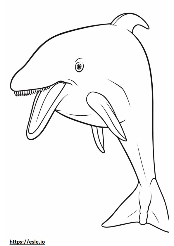 Baleen Whale cute coloring page