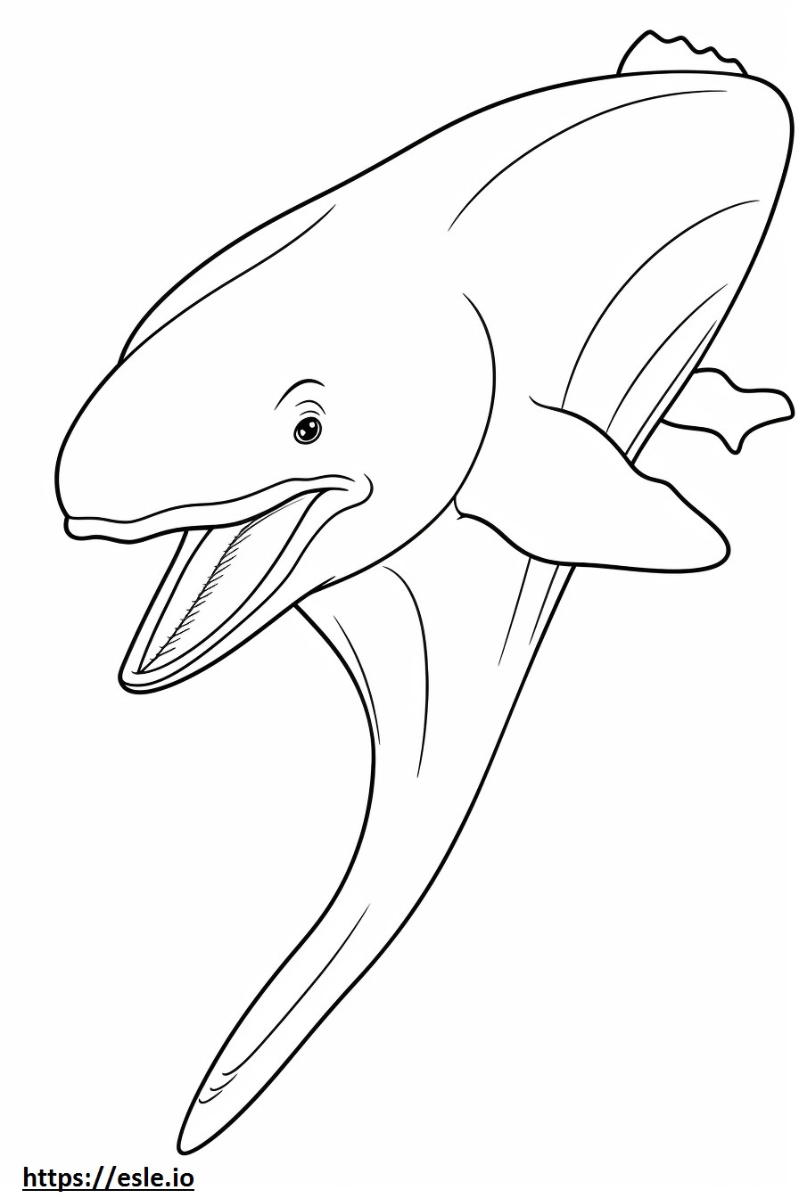 Baleen Whale happy coloring page