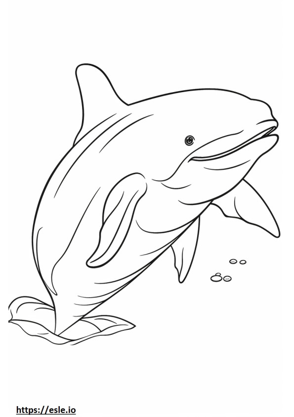 Wieloryb fiszbinowy uroczy kolorowanka