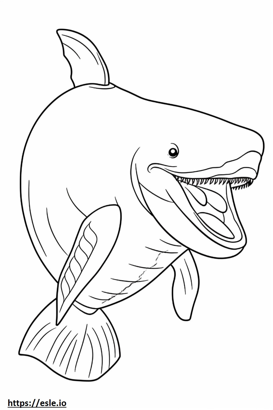 Baleen Whale happy coloring page
