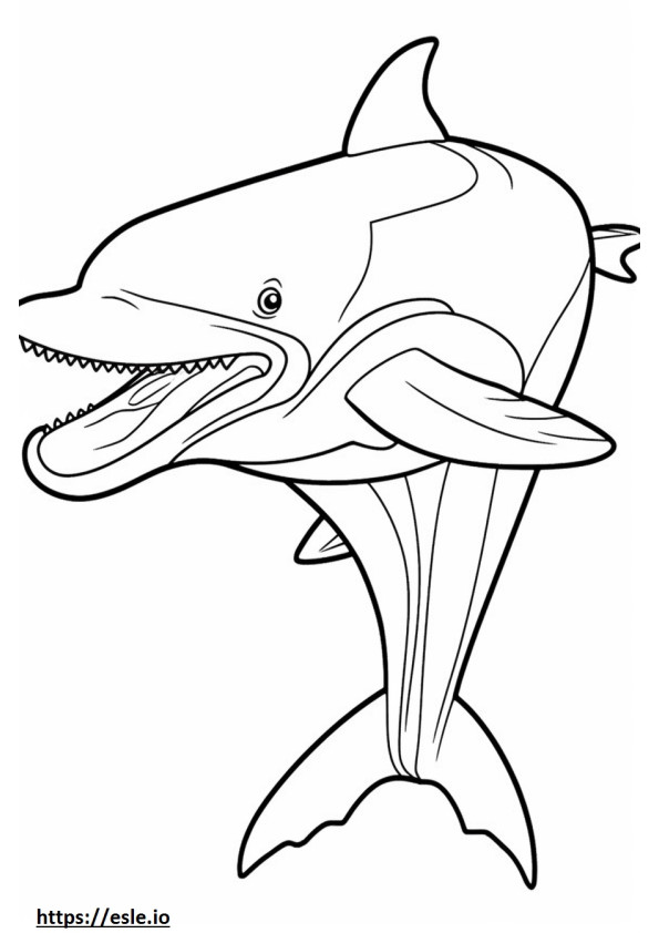 Baleen Whale cute coloring page