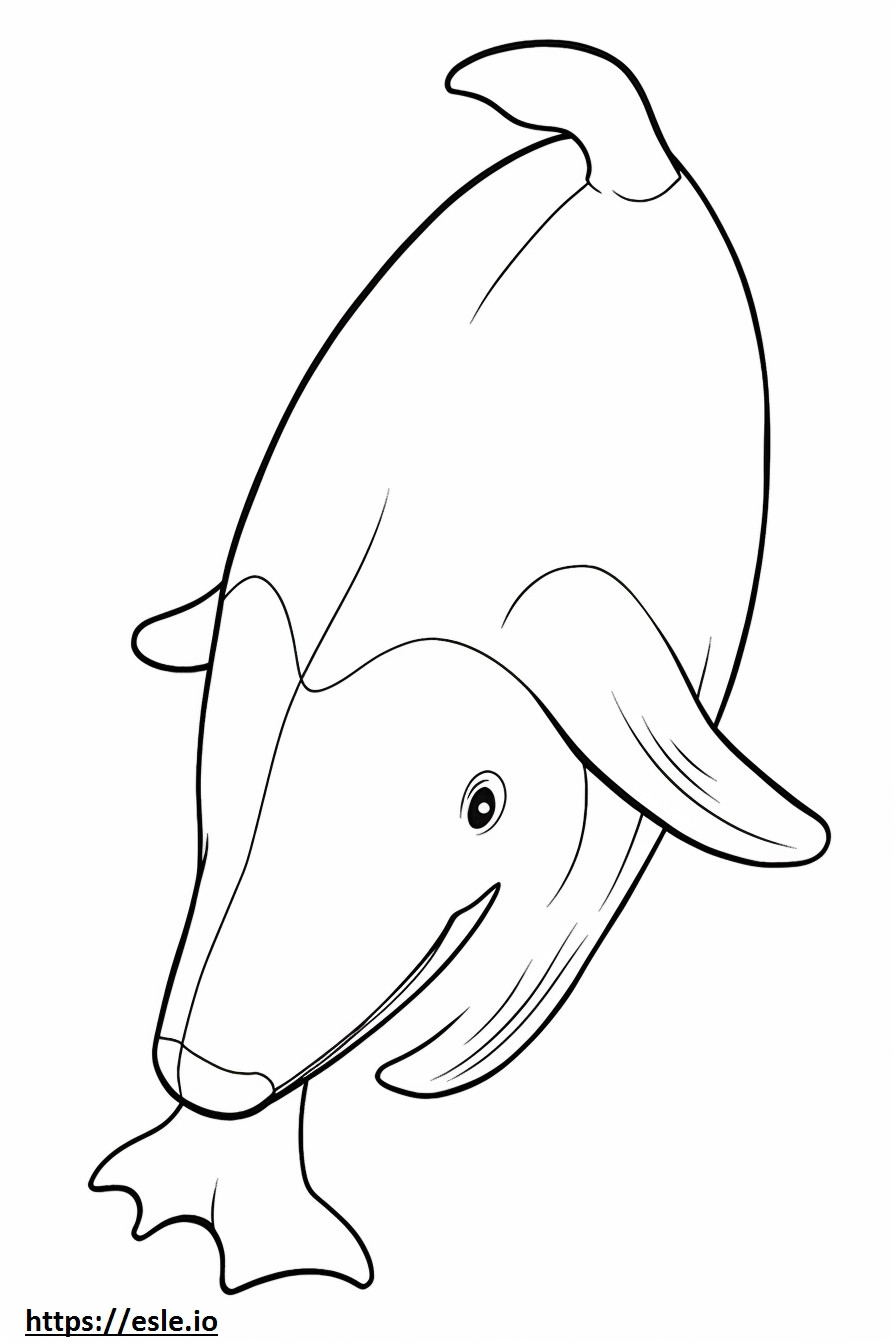 Baleia de barbatana fofa para colorir
