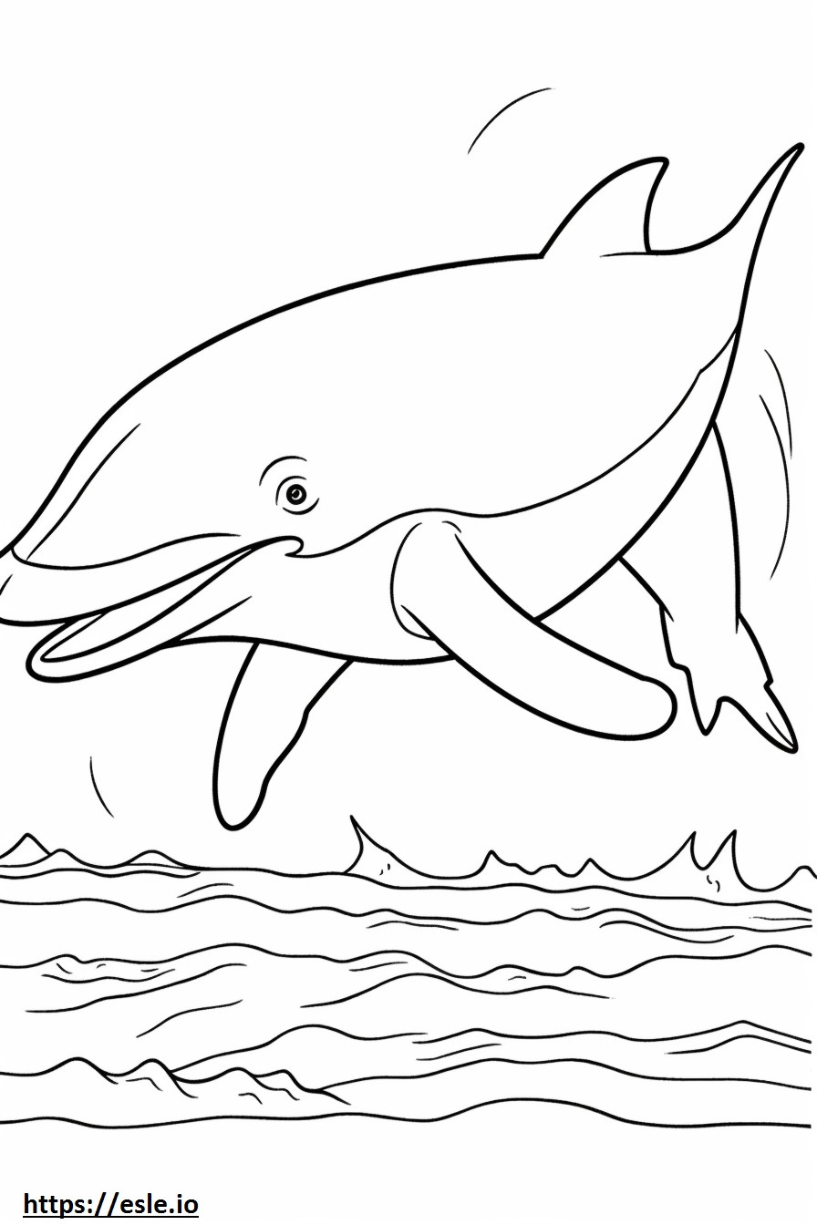 Baleen Whale onnellinen värityskuva