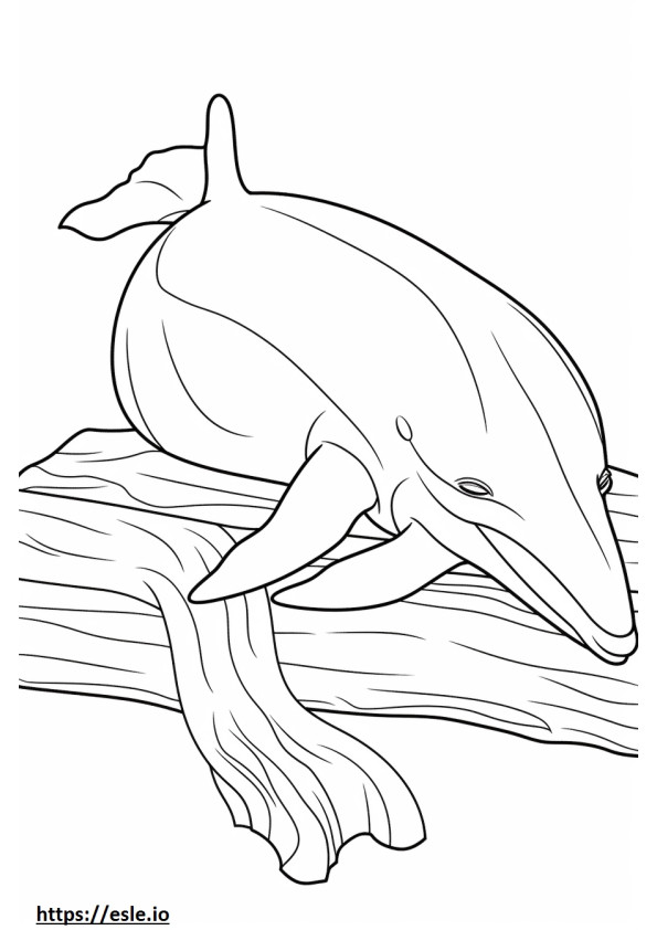 Baleenvalas nukkuu värityskuva