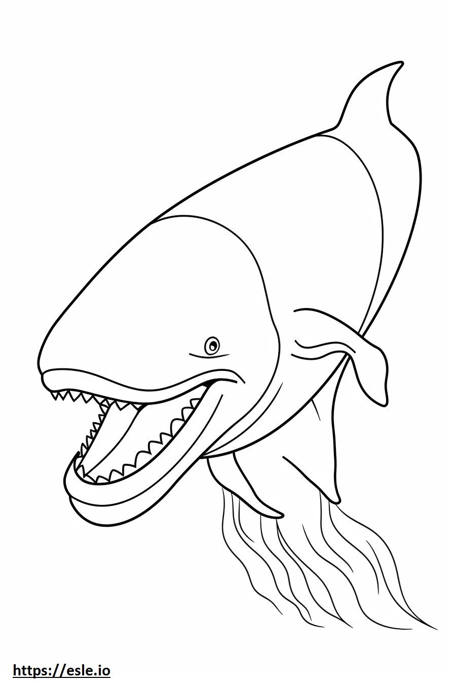 Baleia de barbatana brincando para colorir