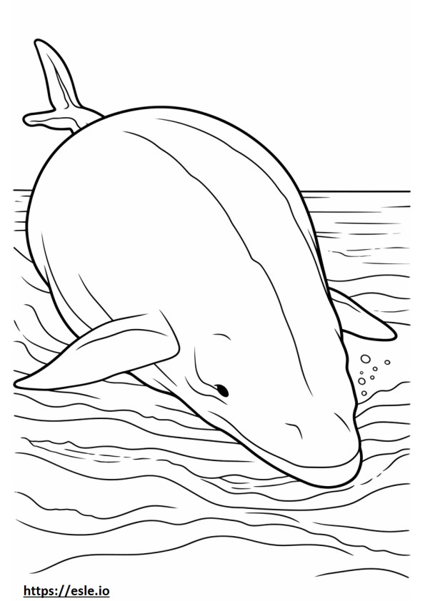 Baleenvalas nukkuu värityskuva