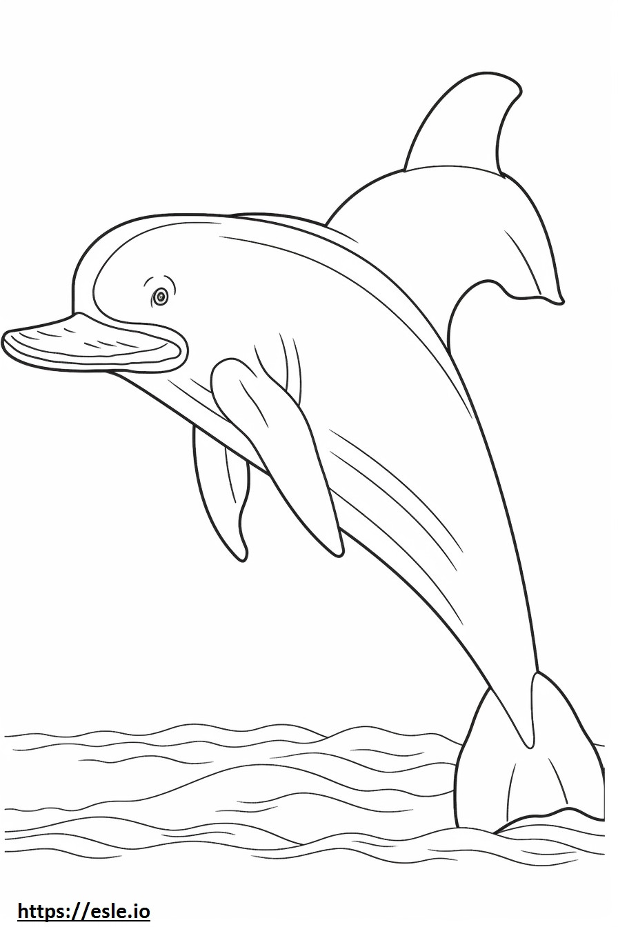 Wieloryb fiszbinowy śpi kolorowanka
