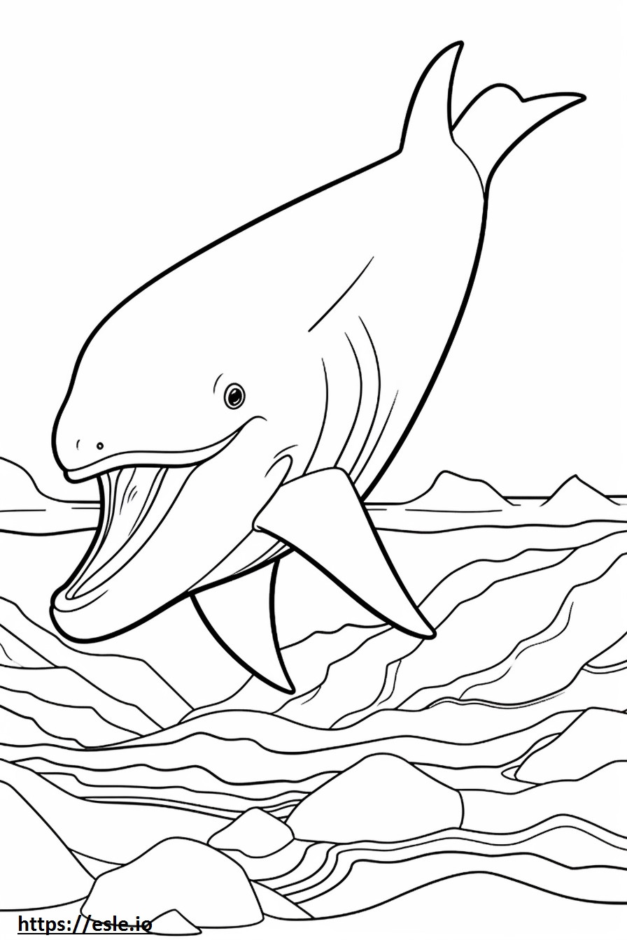Baleen bálna játszik szinező