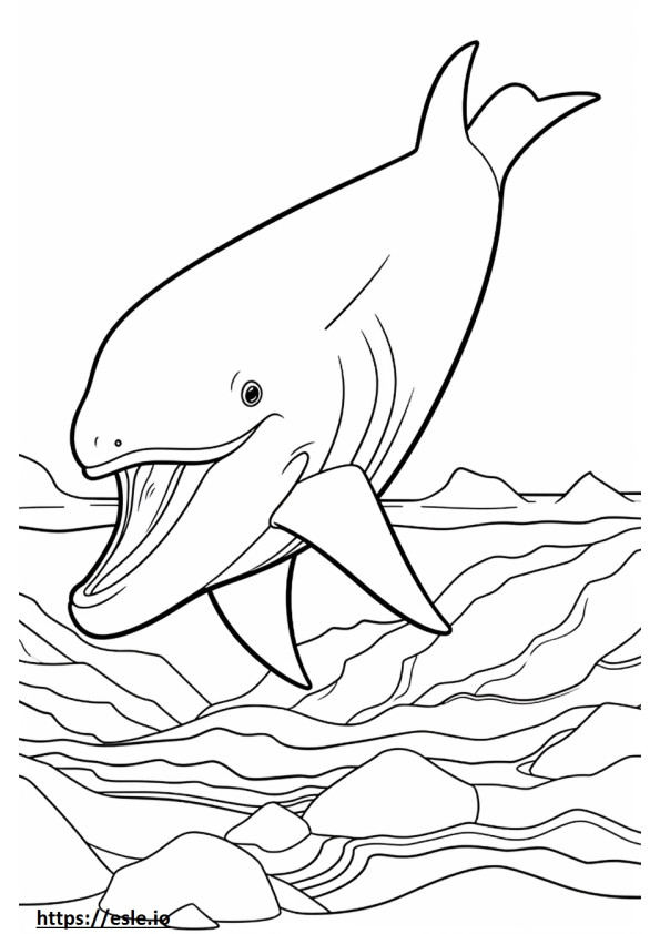 Baleia de barbatana brincando para colorir