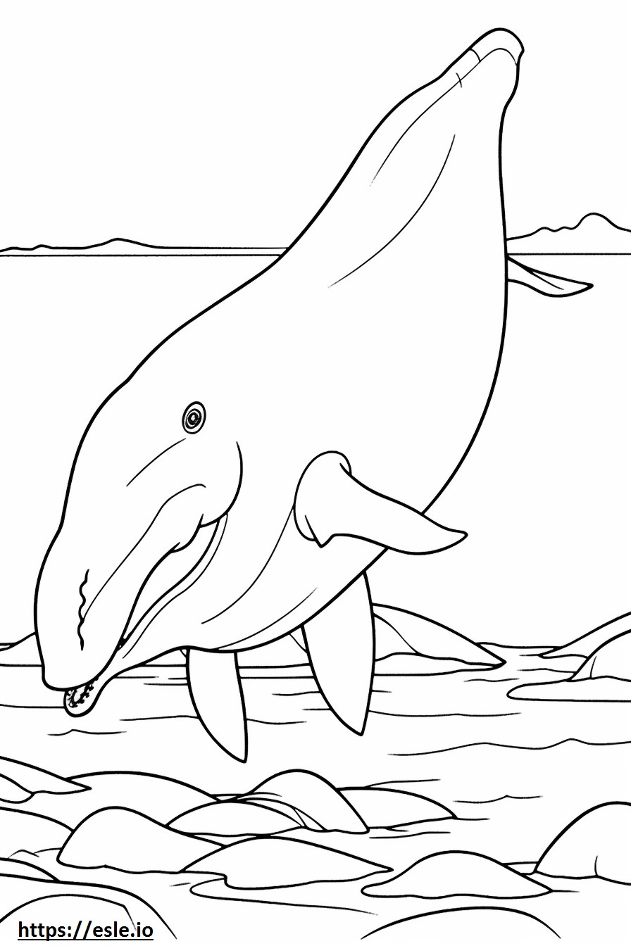 Baleinwalvissen spelen kleurplaat kleurplaat