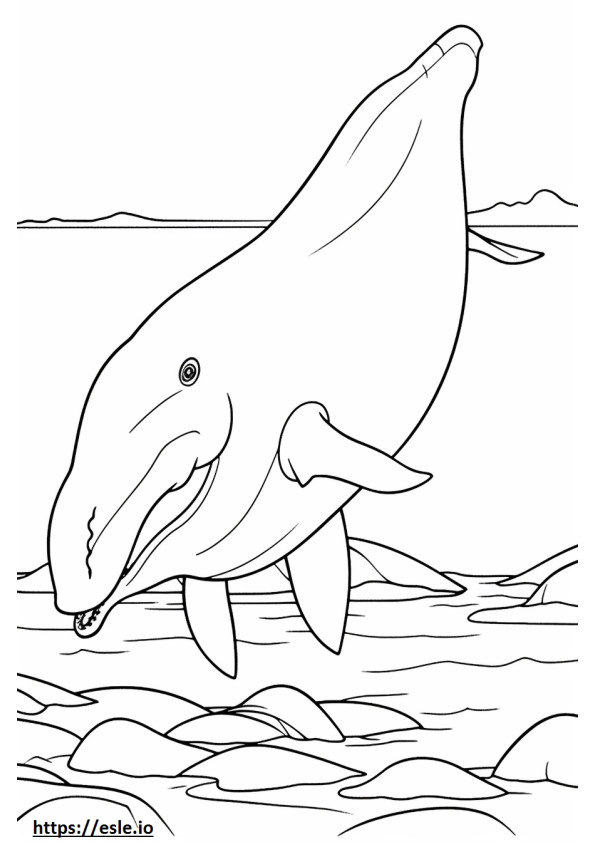Coloriage Baleine à fanons jouant à imprimer