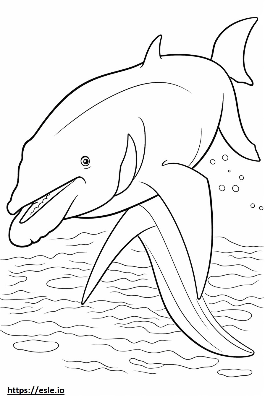 Amigável para baleias de barbatana para colorir