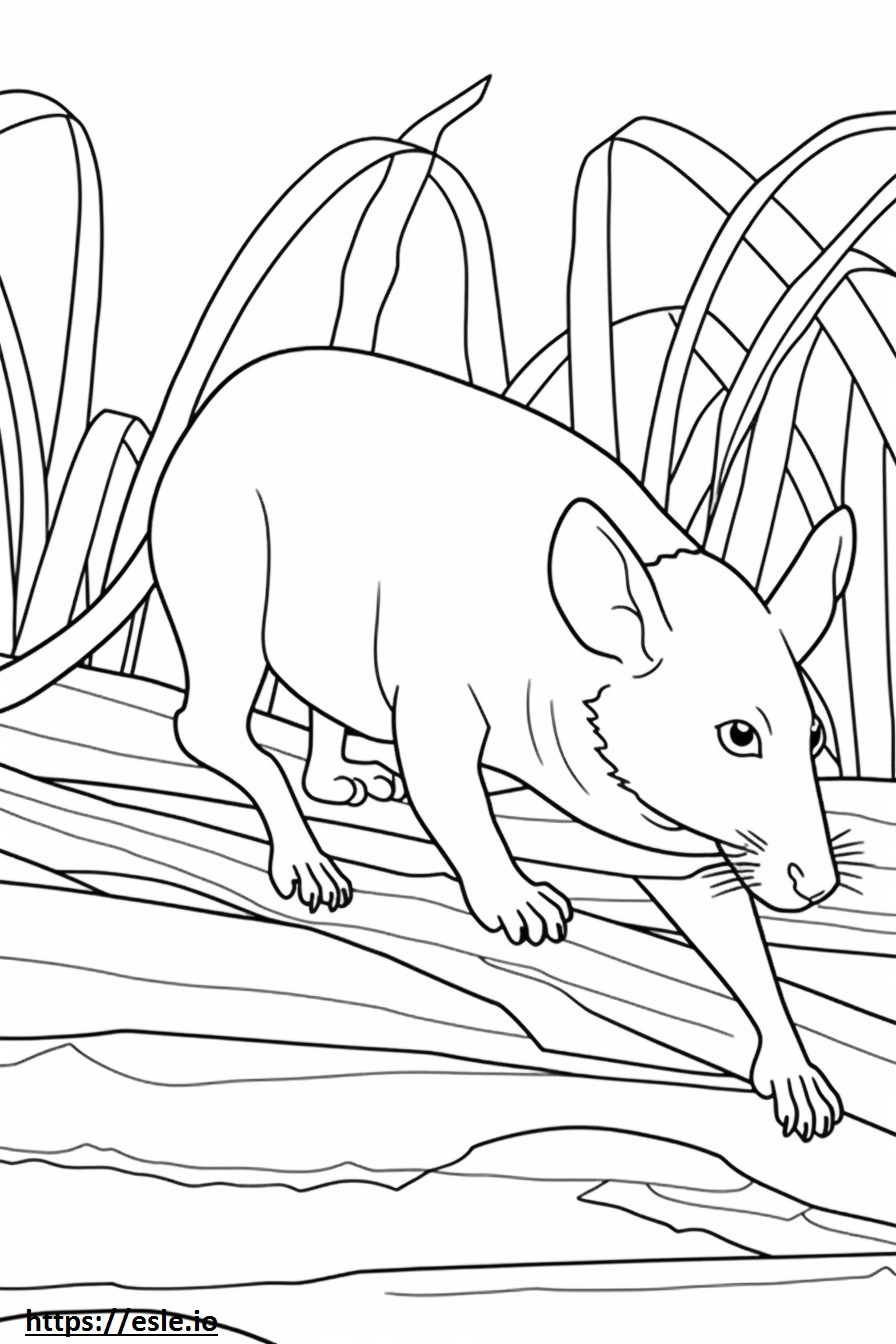 Balinese Friendly coloring page