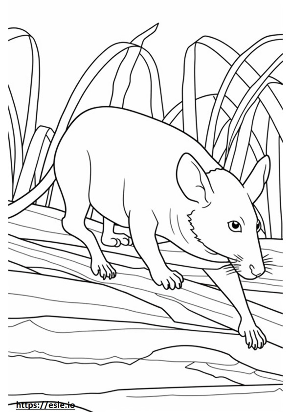 Balinese Friendly coloring page