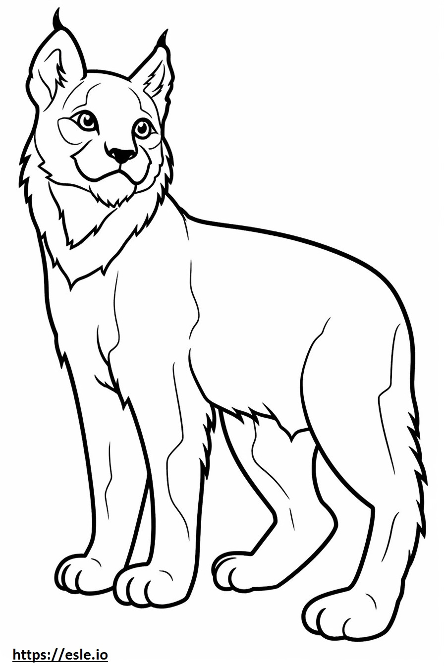 Balkan Lynx baby kleurplaat kleurplaat