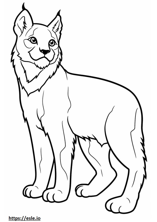 Coloriage Bébé Lynx des Balkans à imprimer